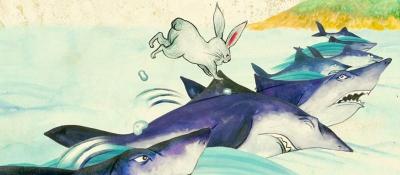 Lapin inaba contre requins